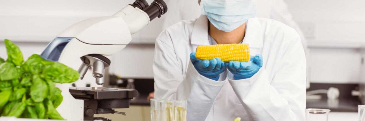Mujeres en la ciencia
