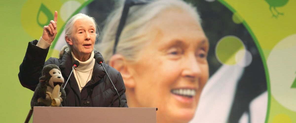 Barbie de Jane Goodall Nuevo role model de empoderamiento para la infancia