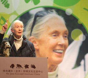 Barbie de Jane Goodall Nuevo role model de empoderamiento para la infancia