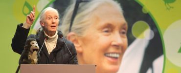 Barbie de Jane Goodall Nuevo role model de empoderamiento para la infancia